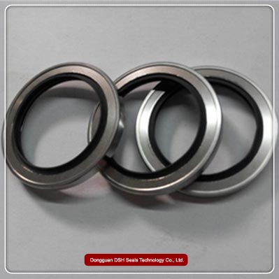 lip rotary shaft seals, stainless steel lip seals